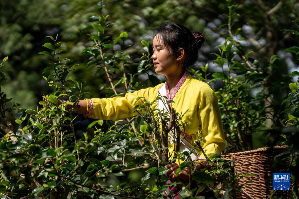 捕鱼游戏赢现金